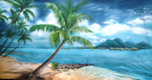 Caribbean themed backdrops and props for events | Themes Unlimited